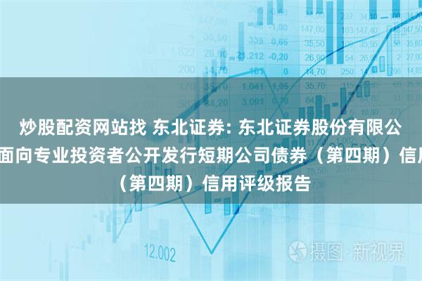 炒股配资网站找 东北证券: 东北证券股份有限公司2025年面向专业投资者公开发行短期公司债券（第四期）信用评级报告